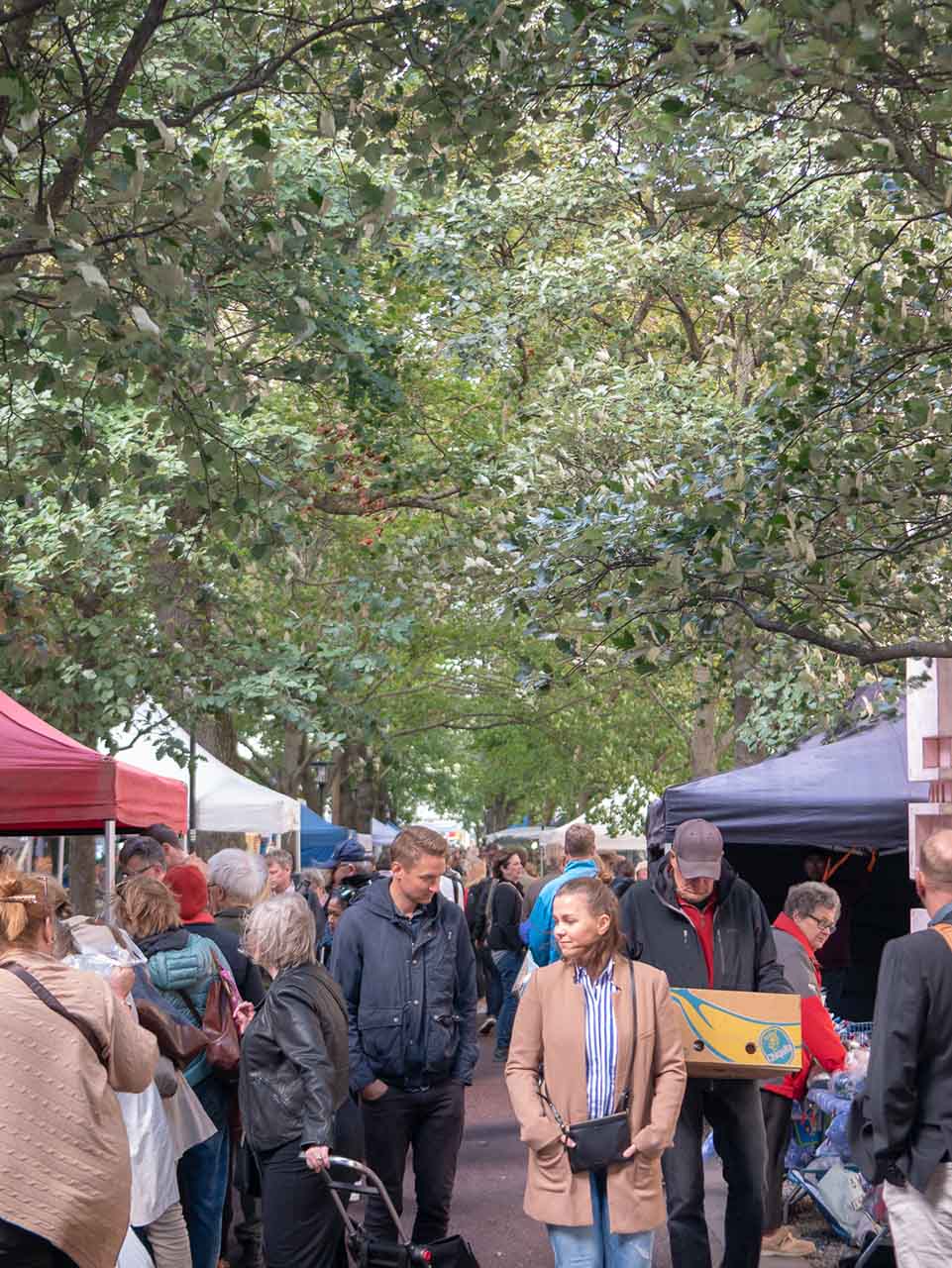 小規模な露店が並ぶマーケット。農場などの出店以外に、個人のフリーマーケットもあるようだ