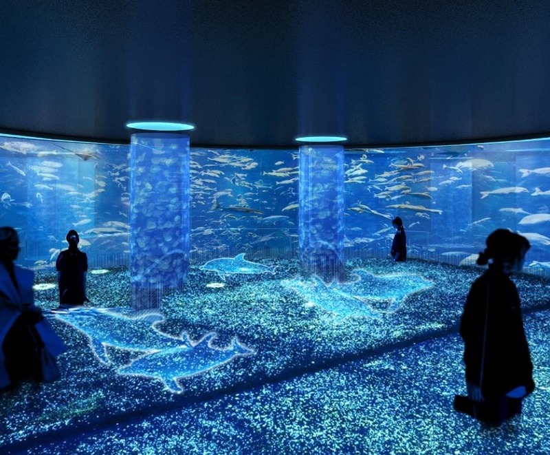 アート水族館 イメージ