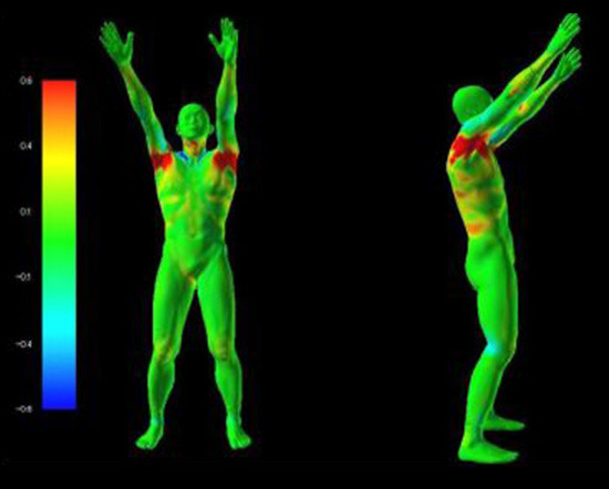 ダイナモーションフィット