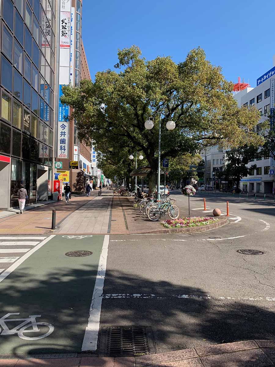 大抵の道には歩道とともに自転車専用レーンが広く取られている