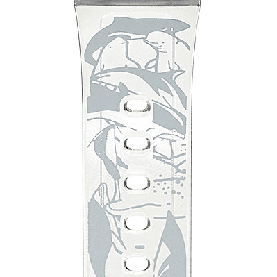 イルカのイラスト(BGD-5001Kバンド部)