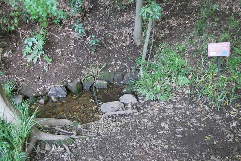 中央研究所内には、野川の源流となる湧水がある