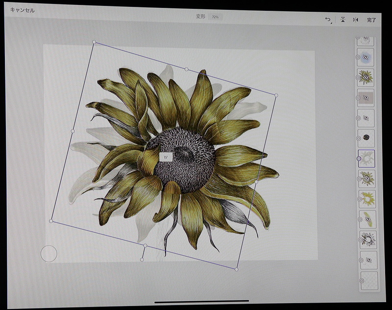 レイヤーを複製、反転して空いた場所に花びらを付け足す