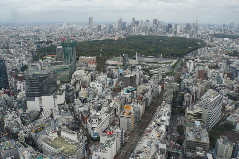 屋外に出て目の前に広がる光景