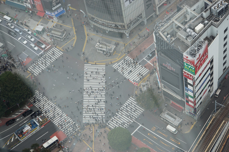 渋谷スクランブル交差点を見下ろす