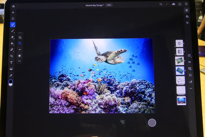 ウミガメを調整して配置