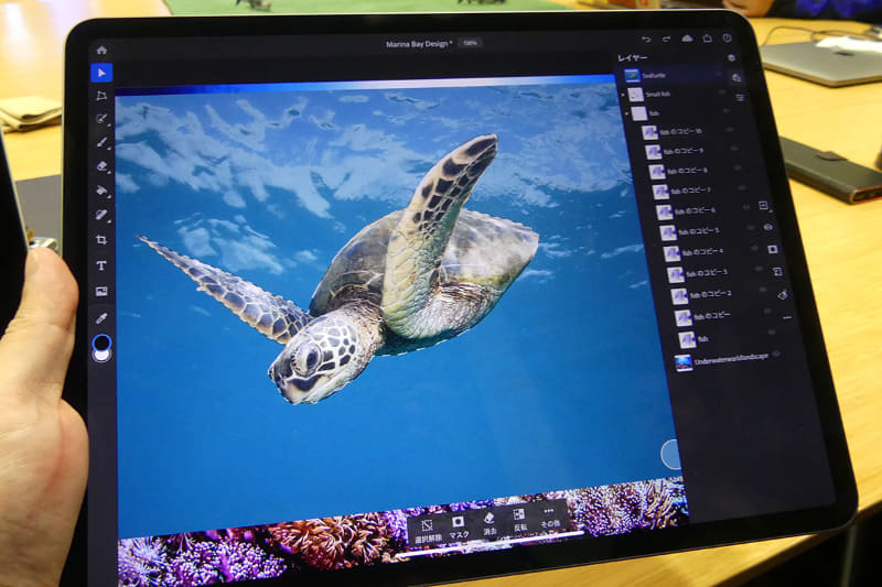 Apple Pencilでウミガメをなぞって選択