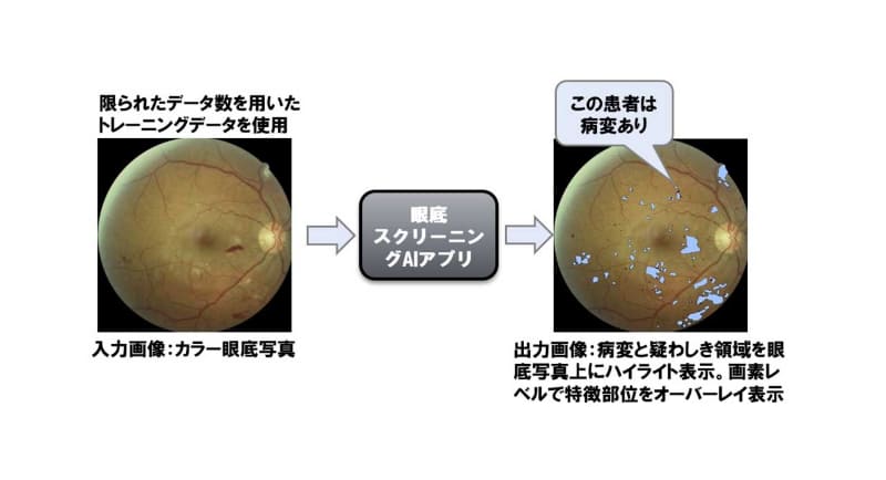 Topcon提供。事例の詳細は(<a href="https://www.topcon.co.jp/topics/20190327-26206.html">こちら</a>）