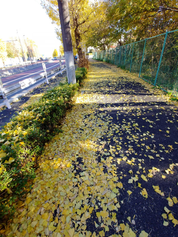 5kmほど走ったところですでに厳しい感じだったが、府中試験場を過ぎた後、長いストレート終わりの緩い上りで脚が動かなくなった