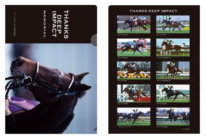 クリアファイル表面(左)/裏面(右)