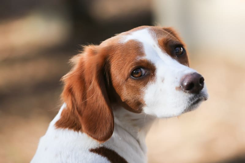 時々良い感じに撮れる。かわいい