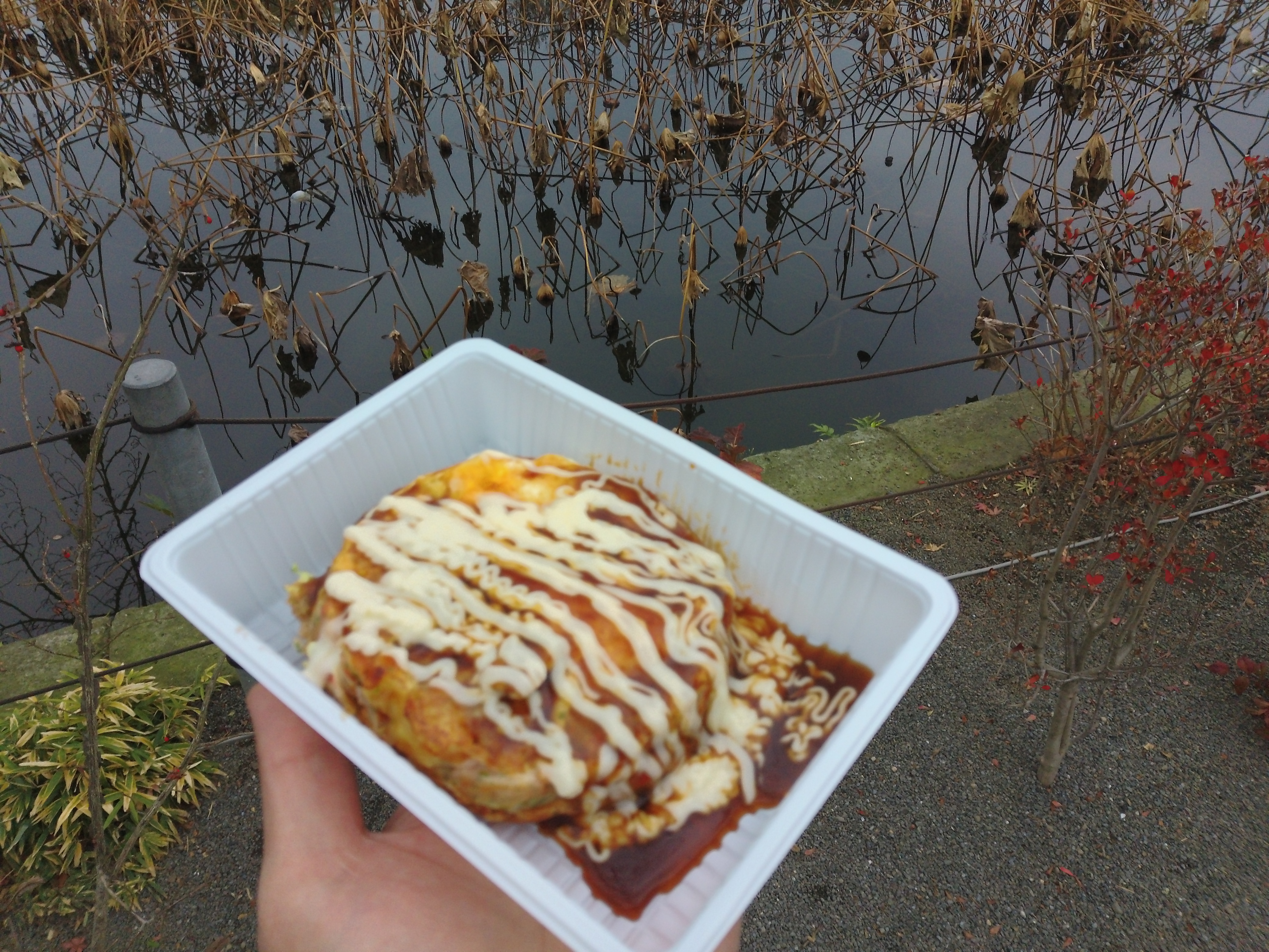 このカメラ最大のウィークポイントを挙げれば、最短撮影距離が50cmと長いことだろう。料理を近くで撮ろうとするとボケてしまうのは歯がゆい