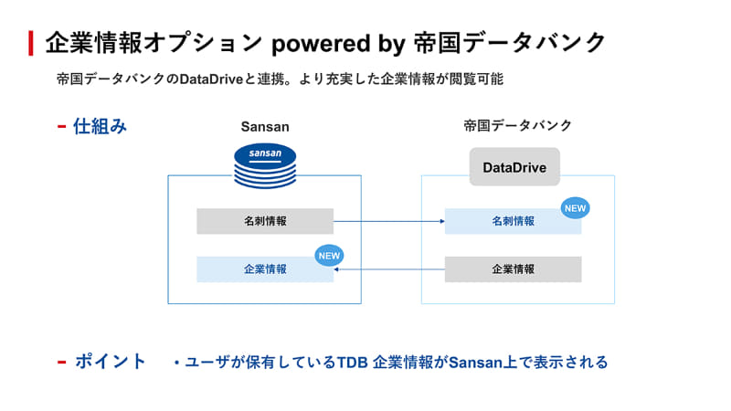 企業情報オプション