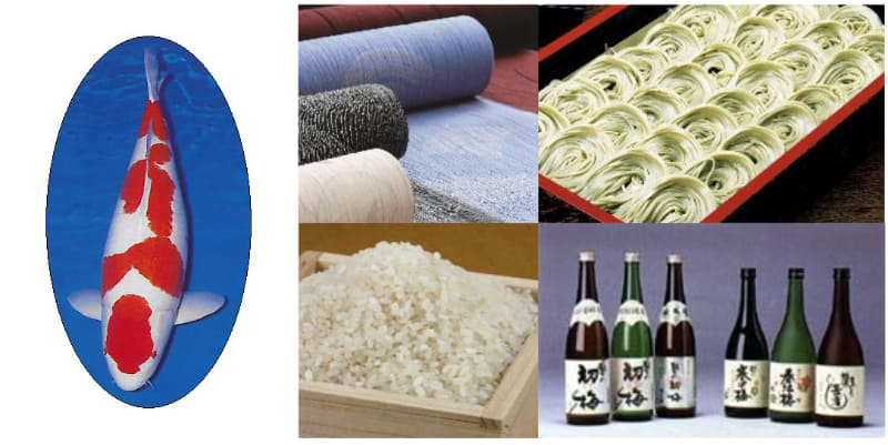 錦鯉 イメージ(左)と小千谷市特産品イメージ(右)