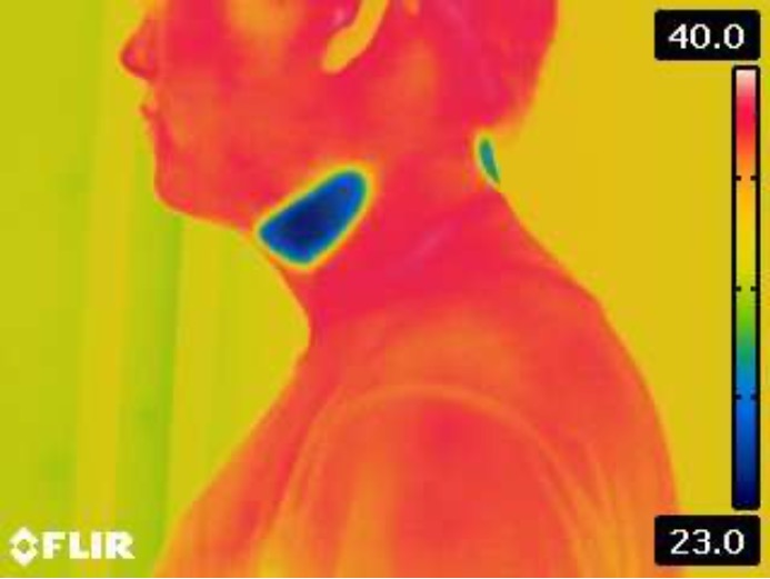 ネック部の温度が下がり、頸動脈を冷却する