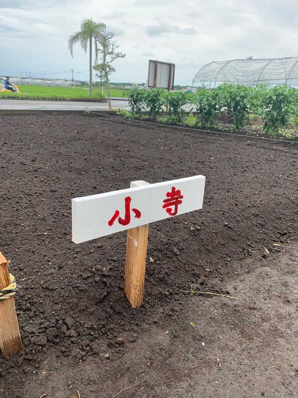 会社を辞めて2日後に畑を借りた