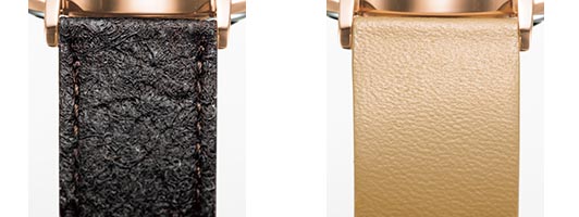 左がピニャテックス、右がECOPET製のバンド