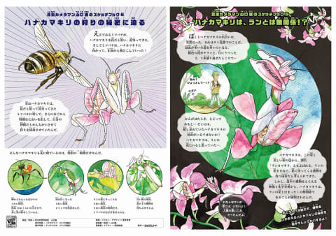 ジャポニカ学習帳 昆虫の表紙が復活 Impress Watch