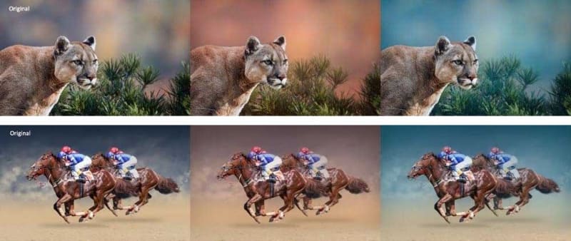 ニューラルフィルター。2つのスライダー操作だけで背景だけに奥行きや暖色を追加