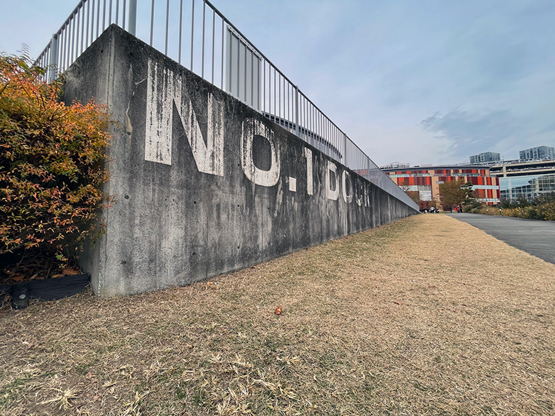 「0.5×」で撮影。「1×」と撮影位置は同じ