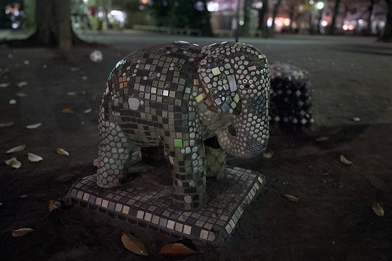 足元が見えないくらいの時間帯に撮影。適当に撮ってもそれなりに仕上がる