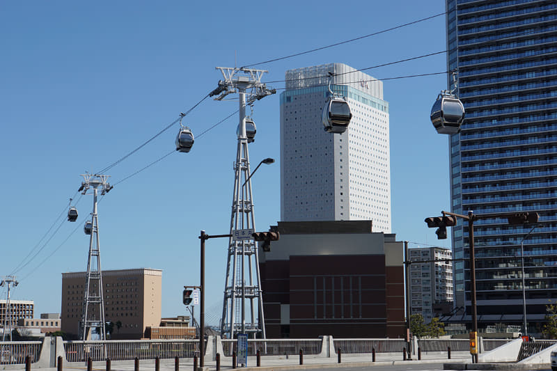 目の前の通りを横切る