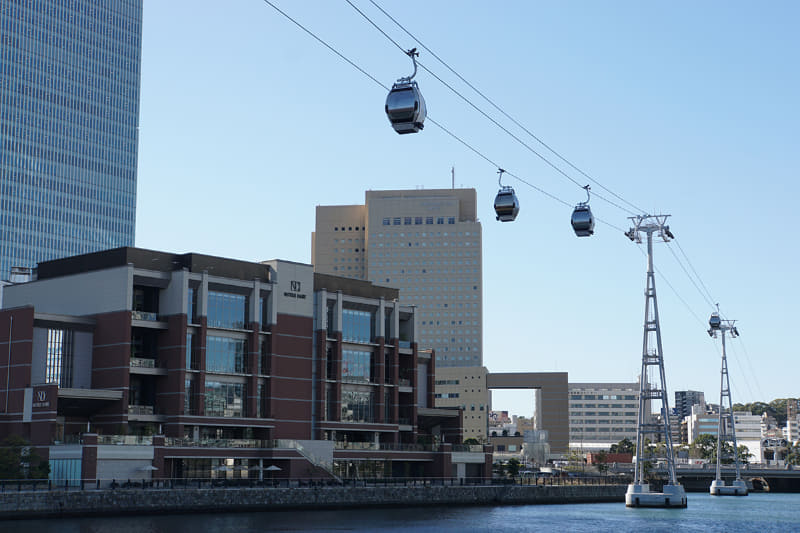 建物を背景にするとその高さが分かる