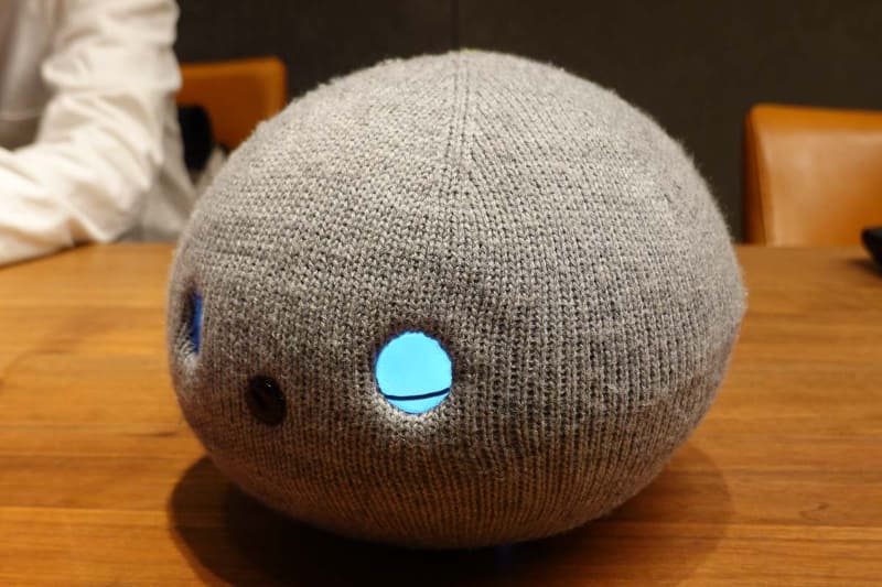 何もしてないときは寝ている