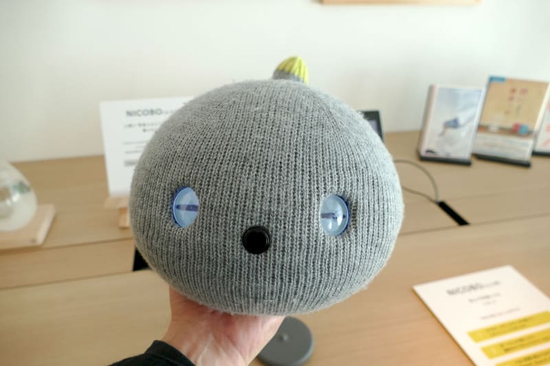 目はディスプレイ