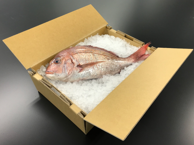 「防水ライナ」段ボールによる鮮魚輸送時のイメージ