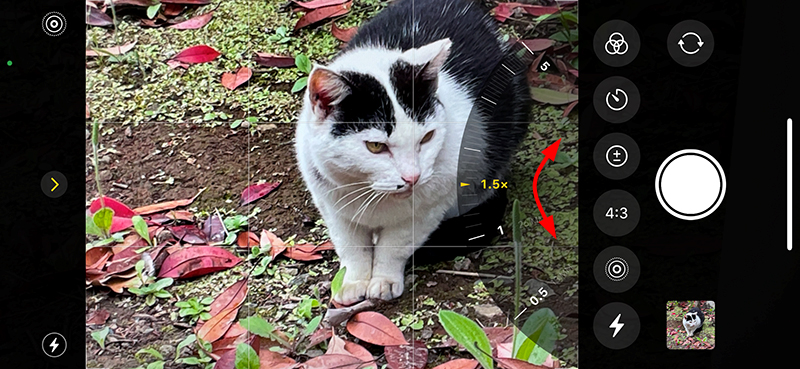 倍率を選択できる円盤状のスライダーが出現する。指をスライドさせて倍率を変更する