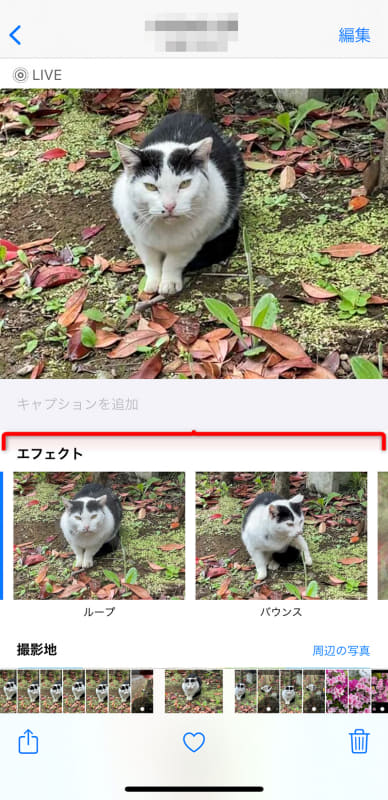 [写真]アプリで該当の写真を表示して画面を上方向へスワイプすると[エフェクト]メニューが表示される