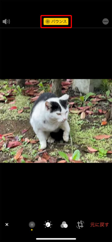 エフェクトを無効化するには、編集画面を表示し、“Live Photos”のアイコンをタップして、画面上部のエフェクト名をタップする