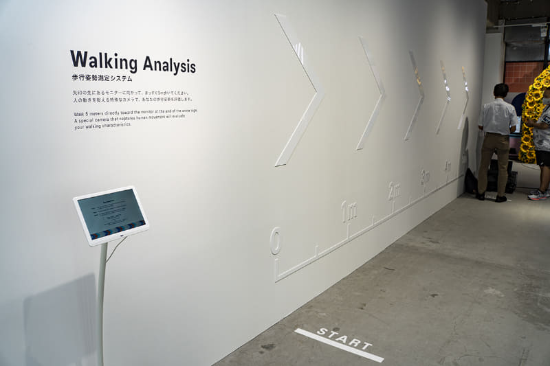 Walking Analysis