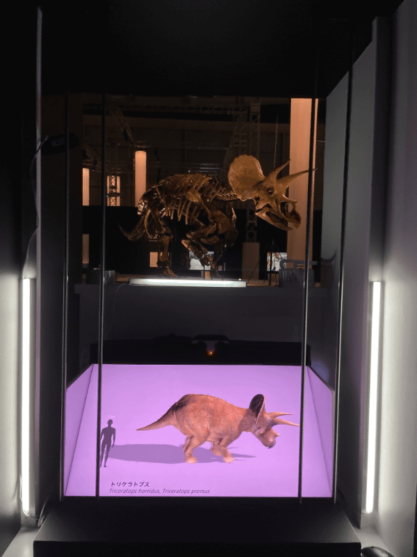 肉眼で3D映像を見ることができるSRD。会場に置かれた32インチタイプは参考技術展示品