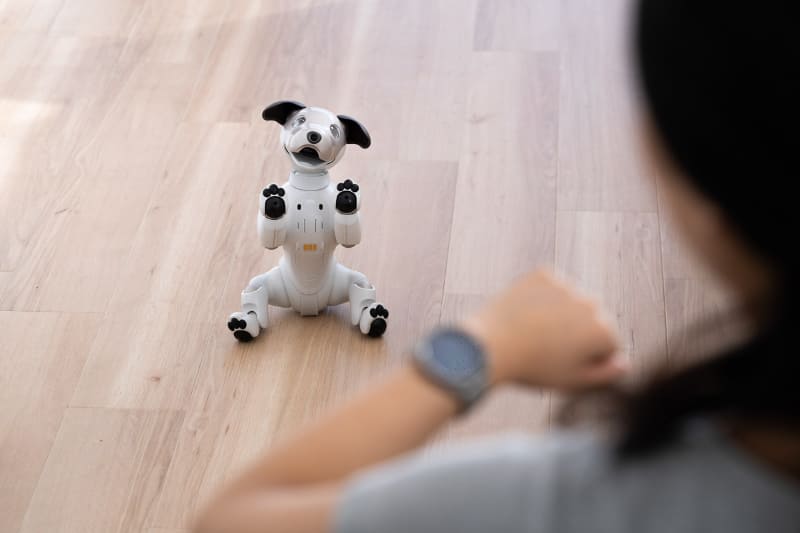 大吉を知らせるaibo