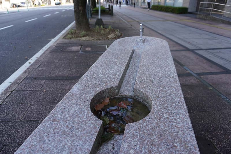 水飲み場も排水が詰まり、水が腐っている
