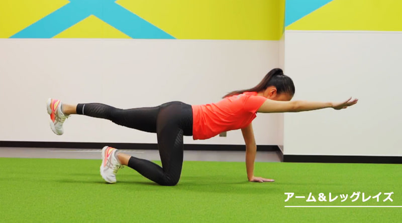 運動の紹介