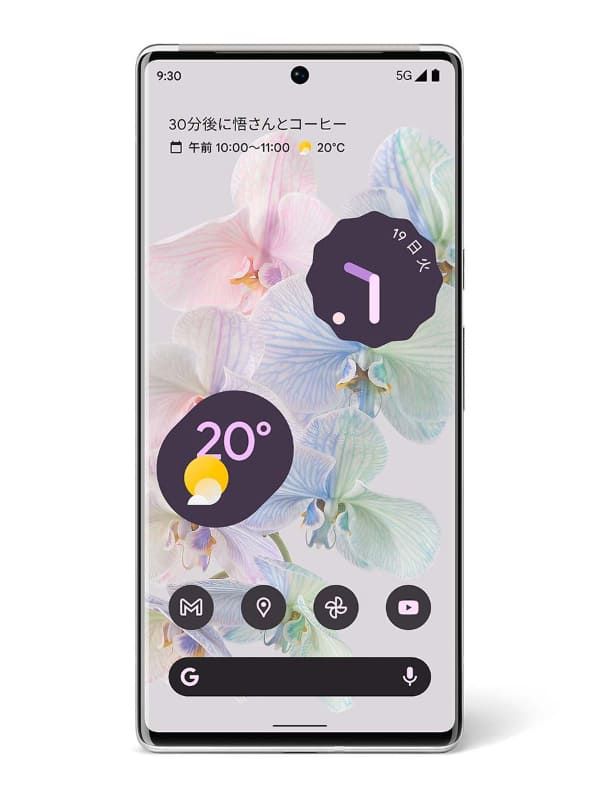 Pixel 6 Pro(Cloudy White)