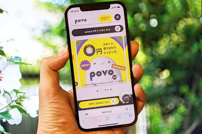 写真はイメージです