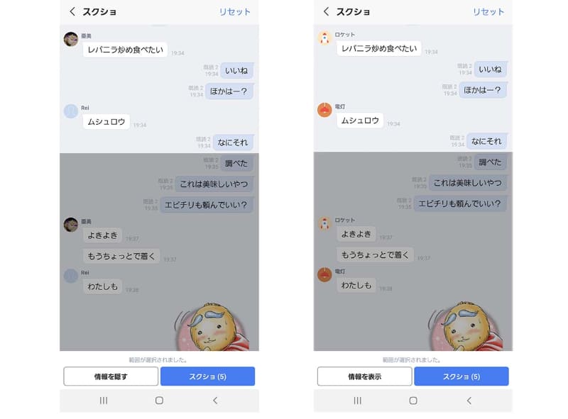下部の「情報を隠す/表示」のタップで、相手の名前とアイコンを隠すか選択できます。画像左では[亜美]と[Rei]の名前がそのままですが、右では[ロケット]と[電灯]に変わってアイコンも変更されています