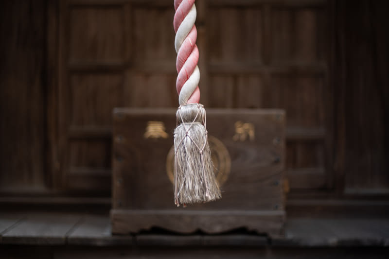 α7 III / smc PENTAX-M 1:1.7 50mm / F1.7 / 1/200秒 / ISO 100