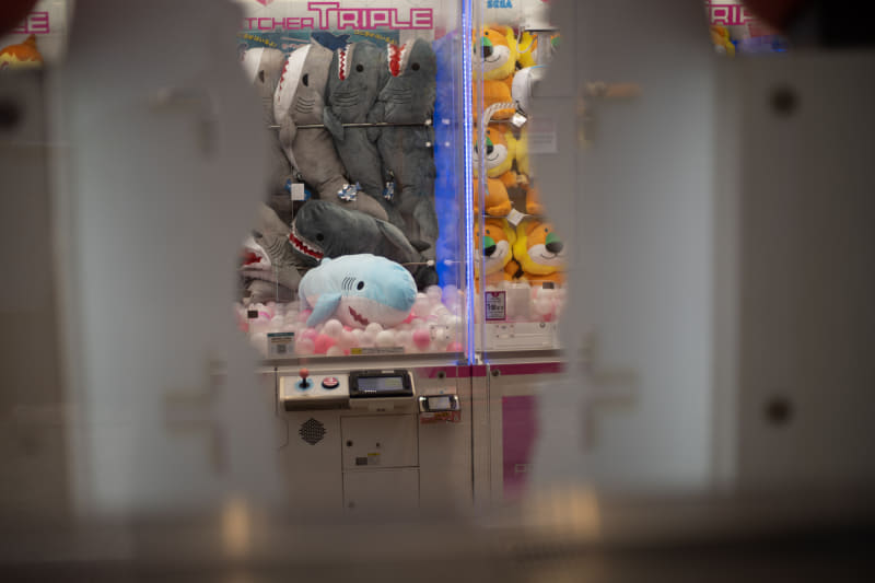 α7 III / smc PENTAX-M 1:1.7 50mm / F1.7 / 1/500秒 / ISO 100