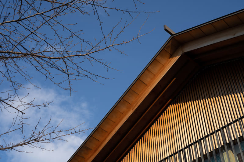 α7 III / smc PENTAX-M 1:1.7 50mm / F8 / 1/250秒 / ISO 100