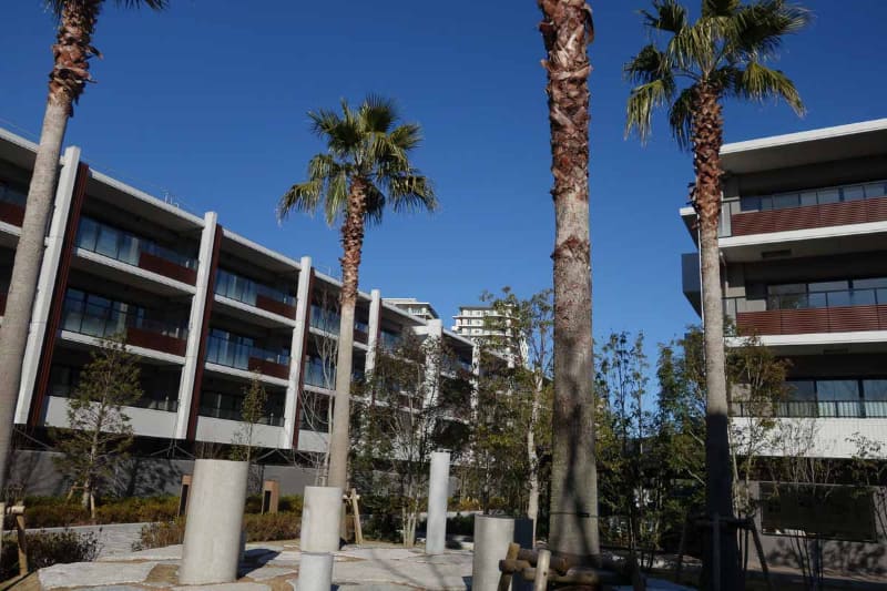 ヴィラプロムナード。真冬でも南国っぽさがある