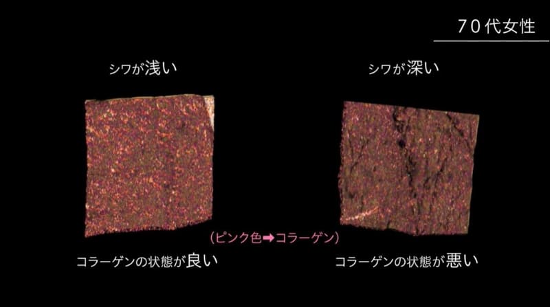 花王の動画チャンネル CT-Skin 動画より
