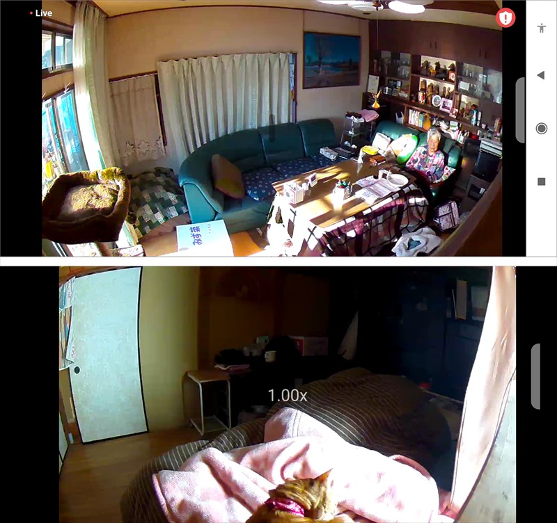 母が一日の大半を過ごすリビングと寝室をネットワークカメラでカバー