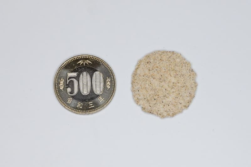 500円玉より少し大きいくらいです