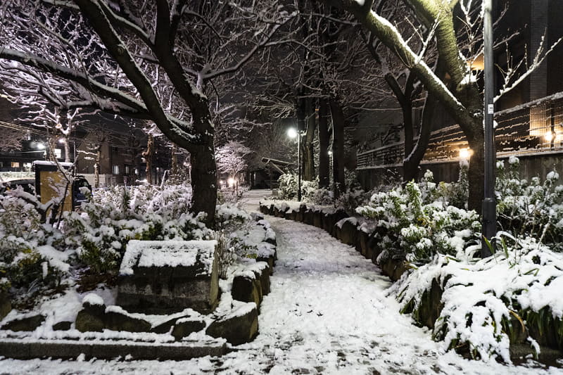 1月6日の積雪の様子(東京都渋谷区)