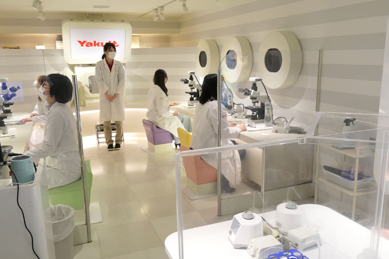 菌を観察します